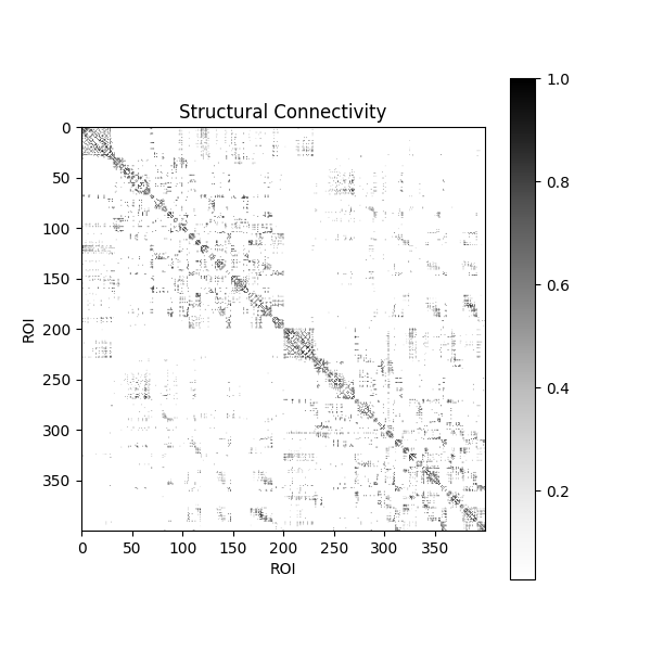 Structural Connectivity