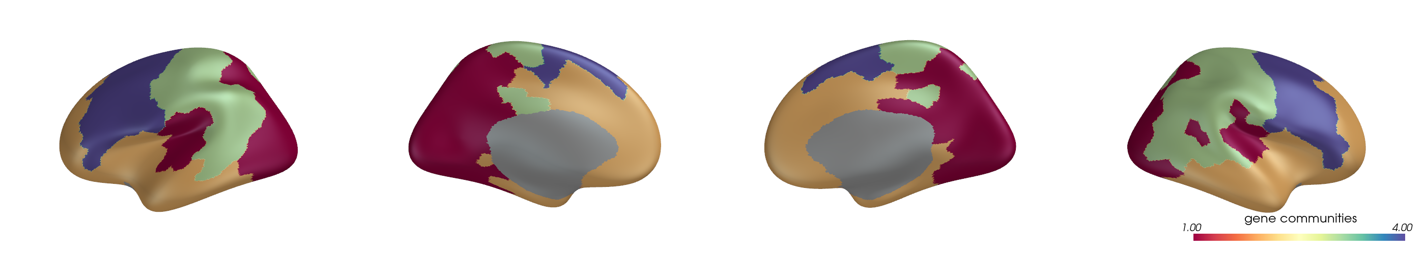 plot connectivity modes