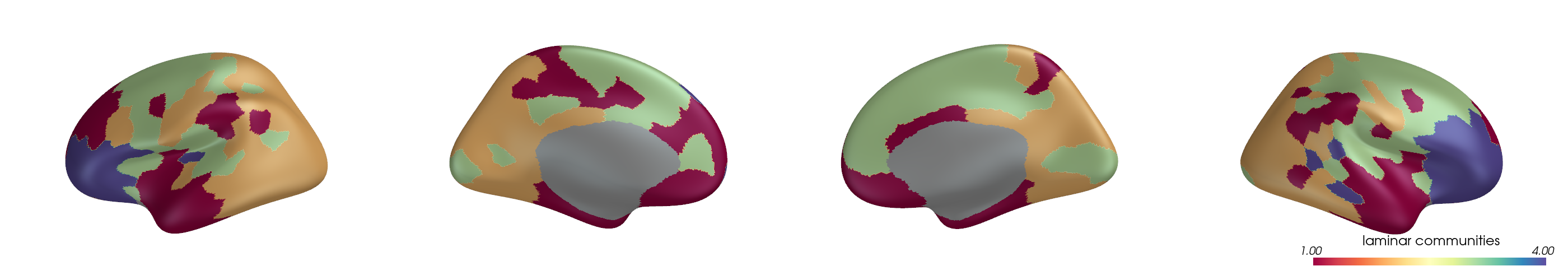 plot connectivity modes