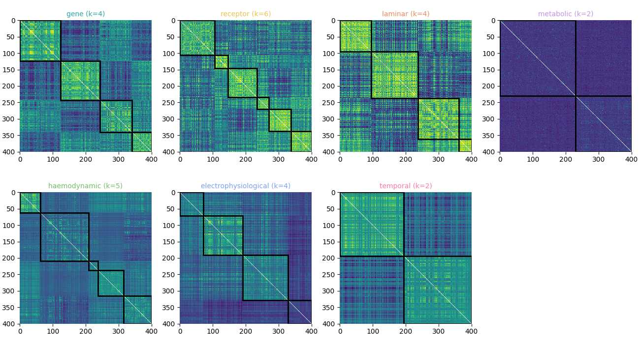 gene (k=4), receptor (k=6), laminar (k=4), metabolic (k=2), haemodynamic (k=5), electrophysiological (k=4), temporal (k=2)