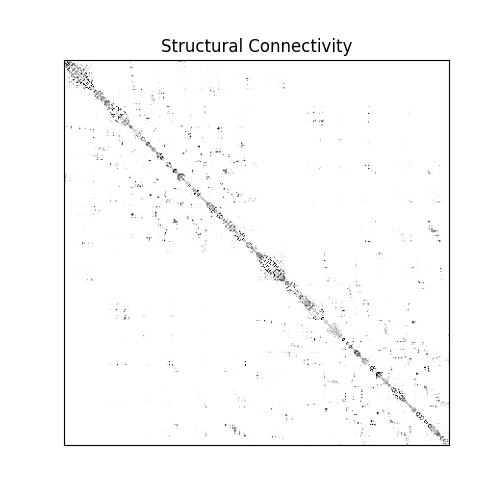 Structural Connectivity